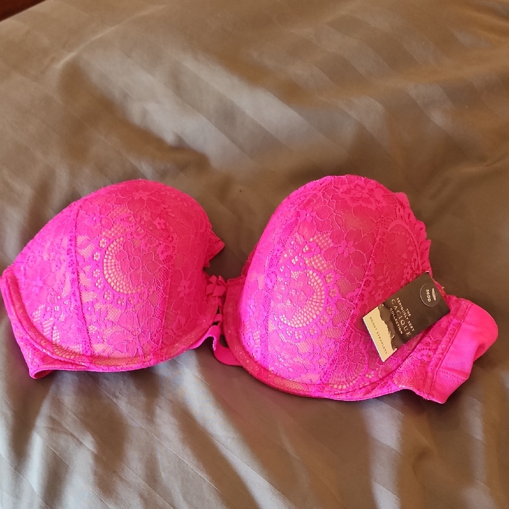 Cacique Fuchsia Lace Push-Up Bra